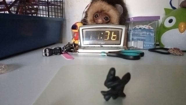 тут есть текст звуки голос