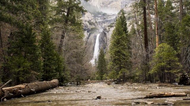 - Music For Relaxation