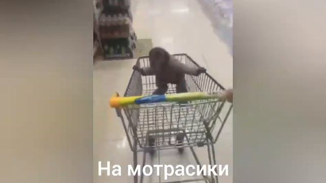 мем про обезьянок❤️🐵 Дид бабуле подарил золотые......