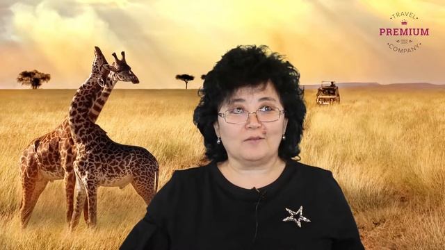 Динара отзыв о Premium Travel Company