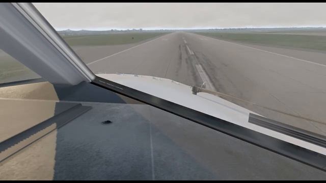 X plane 11 ; ZIbo 737-800X