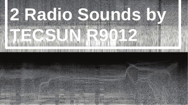 Random Mixture of 2 Radio Sounds by TECSUN R9012 [2020-10-11 19:37]