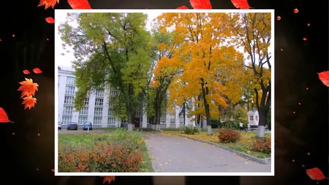 Иваново Золотая осень на Шереметевском 2017