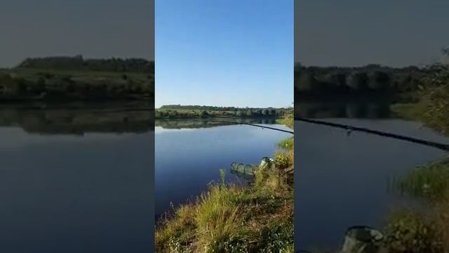 Двух-суточная Рыбалка на Толстолобика