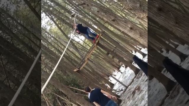 Zip line in the forest