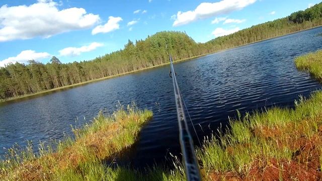 Microjig and Cam on Rod (28.06.2020)
