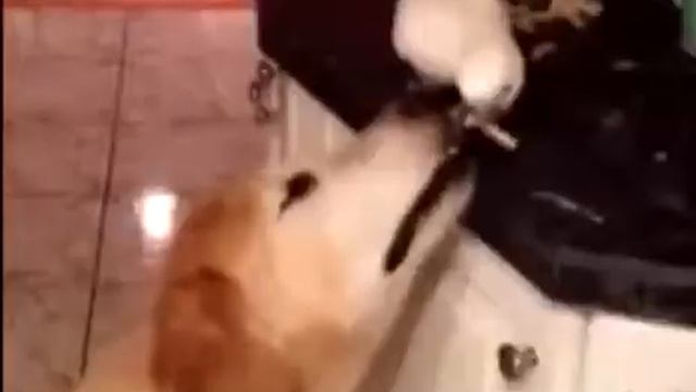 Классное видео