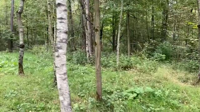 Школа 2120 «Филатов луг» #2