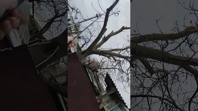 вот моя новая удочка (нет) и моë новое изобретение