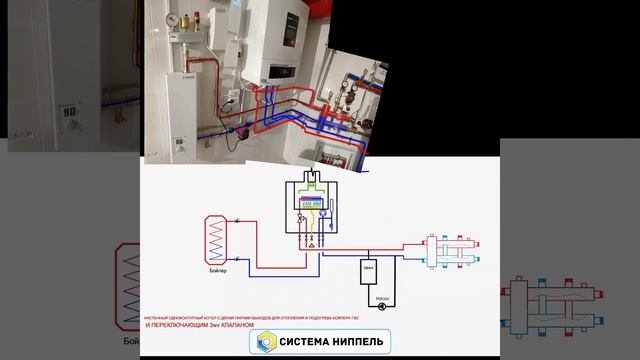 Осельки СНТ Ручьи