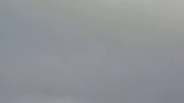 MOV10084