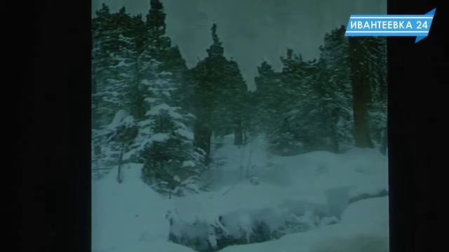 Зимняя фотовыставка ТО "Объектив и природа" и творческий юбилей Т. Бардиной