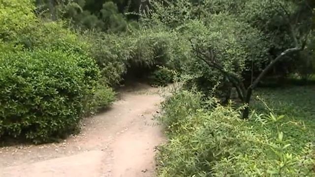 Никитский ботанический сад.