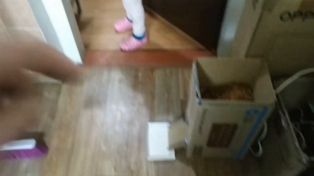 Дозатор сухого корма
