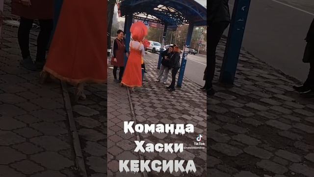 Команда Хаски КЕКСИКА