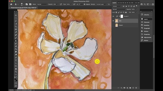 Image Capture Adjustment