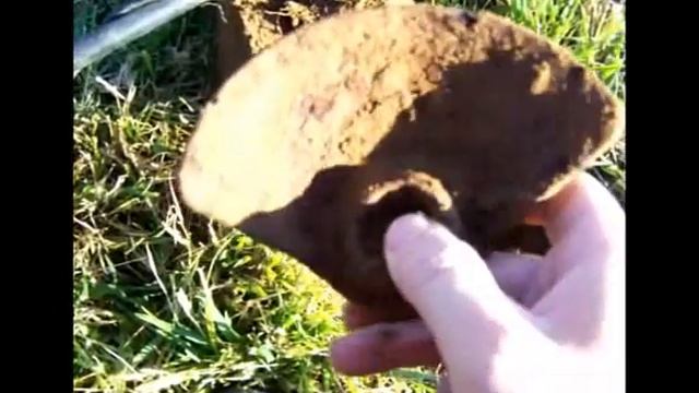 Detecting Bavaria Part 37 with Gerd & his Garrett ACE 250 A  Permission 14 B  05 11 13
