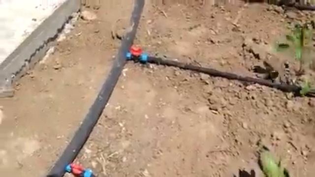 Капельное орошение