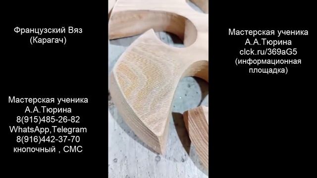 Вихревой преобразователь А.Тюрина из Французского Вяза (Карагача)