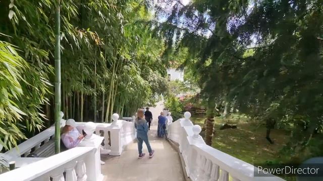 Южные культуры, парк. Сочи 27.05.22