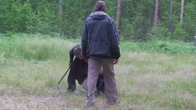 Дрессировочный лагерь под Санкт-Петербургом 2012!