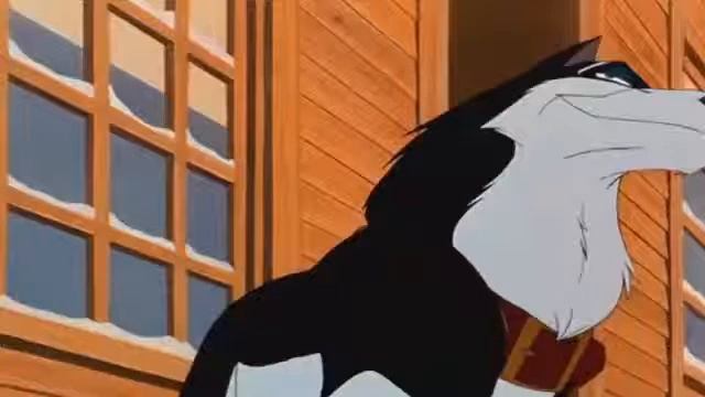 Балто это моя жизнь