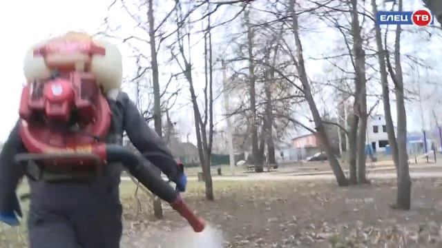 В Ельце началась противоклещевая обработка парков и скверов