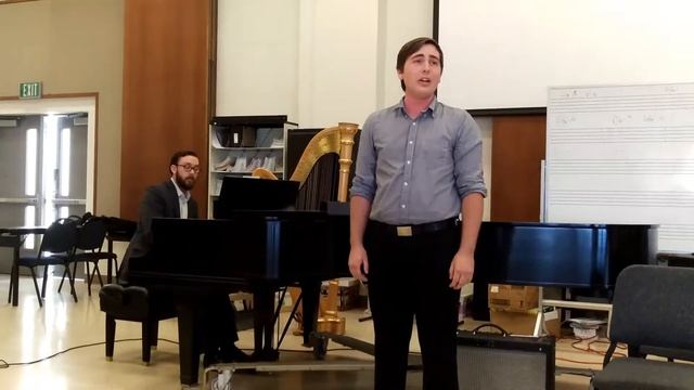 Der Erlkönig Op.1 - Franz Schubert -Liam Paul - 2017