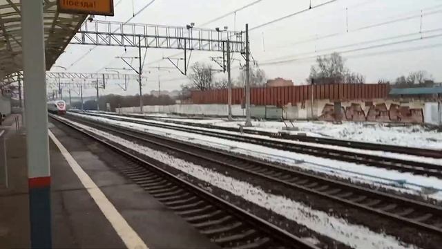 коми Студенец Солнечногорск москва сапсан