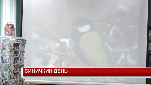 СИНИЧКИН ДЕНЬ