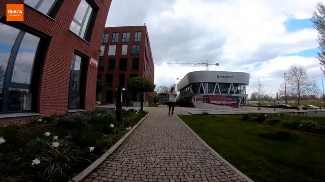 Впервые в Праге? Ведём детей фотографироваться с бегемотиками.