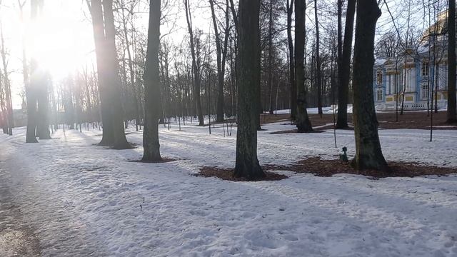 Птицы