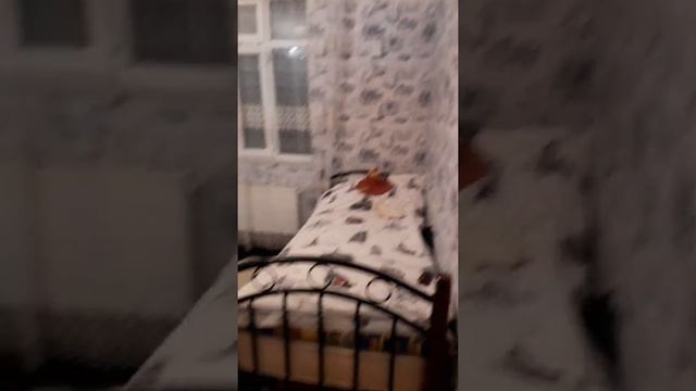 Xırdalan ş. 2 sotda 22 kv. obyekt 300 azn. arenda. marşrutla 80 m. məsafədə məktəbə yaxın.055364775