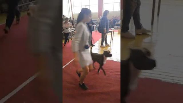 VID 20191020 120247
