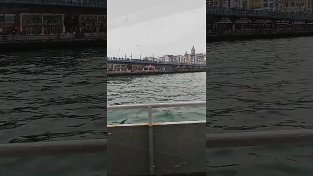 Катались на вапуре 🛳️ по Босфору? #turkiye #istanbul