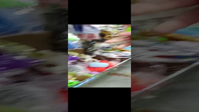 1000002377.mp4