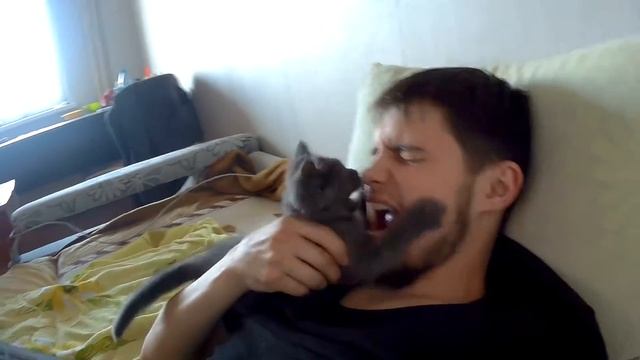 кифирчик ест мое лицо