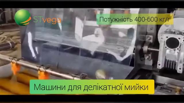 лінія для делікатної(ніжної) мийки овочів і фруктів