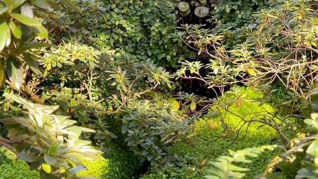Куда сходить в Питере? Встреча с Мариной Могилко!