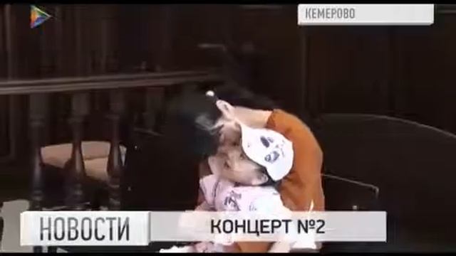 Дело о буйной автолюбительнице направили в суд
