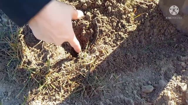 Ловля крота (прикол) 1часть