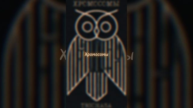 TRICHASA - Хромосомы