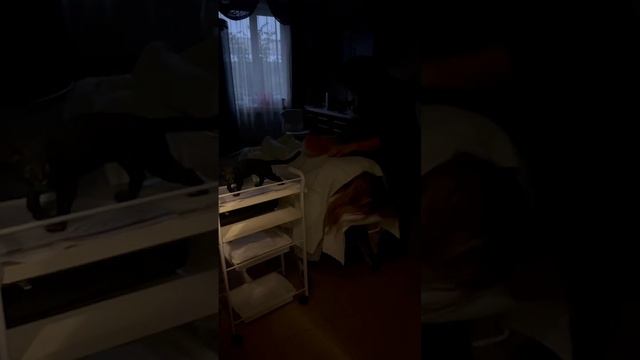 Народная терапия! Вот так - не надо!!!