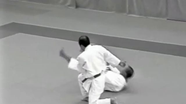 kodokan goshin jutsu