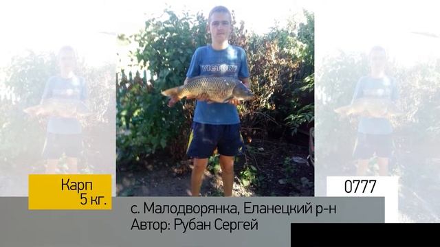 Фотоальбом - Рыбалка №155