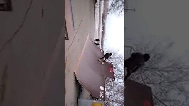 Новосибирск на Набережной, ролики