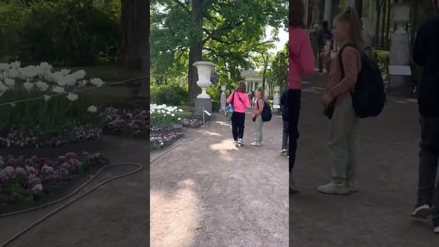 Поездка в Павловск