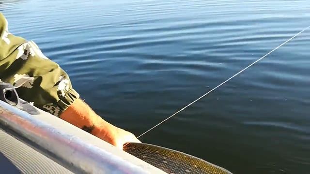 Леха колебло  и испуганная Даша)))