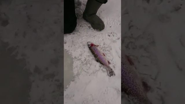 Снова на пасту