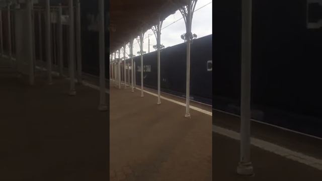ПОЕЗД ЛАСТОЧКА НА СТАНЦИИ НОВЫЙ ПЕТЕРГОФ